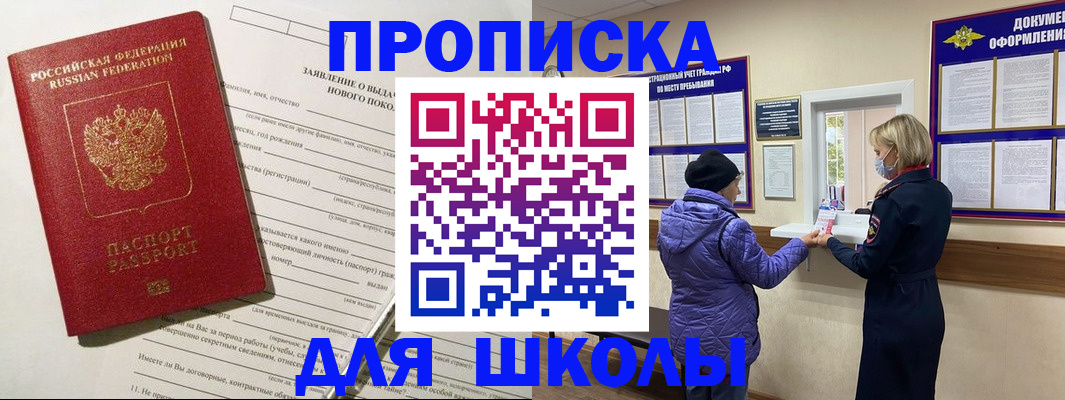 прописка для школы в Купино